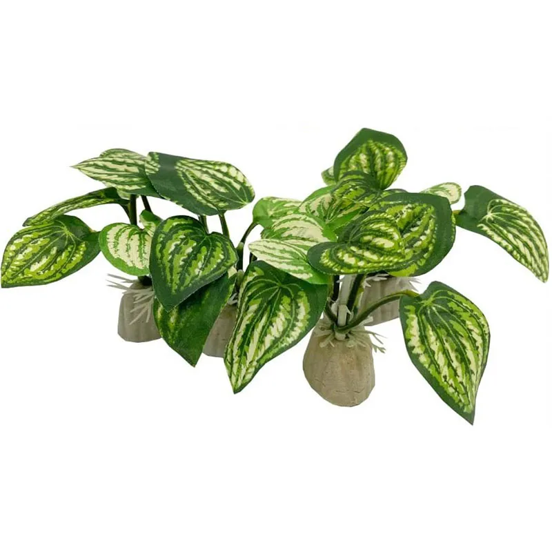 Small Underwater Grass Aquariu - Aquarium Planted Background review and price
