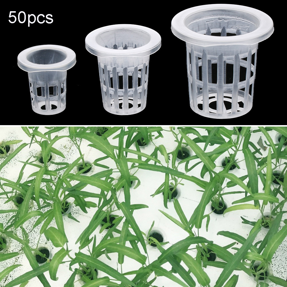 10/50pcs Garden Supplies Plant - Aquarium Plant Seeds review and price