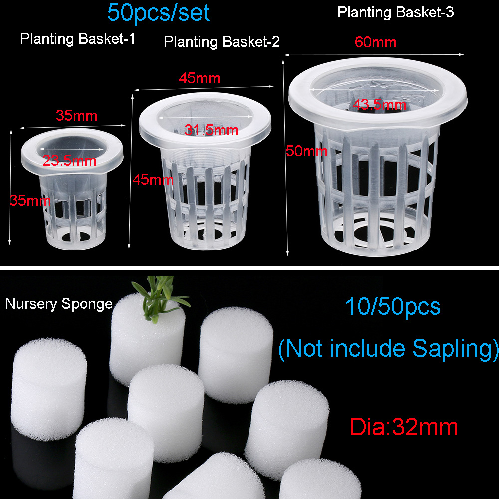 10/50pcs Garden Supplies Plant - Aquarium Plant Seeds review and price